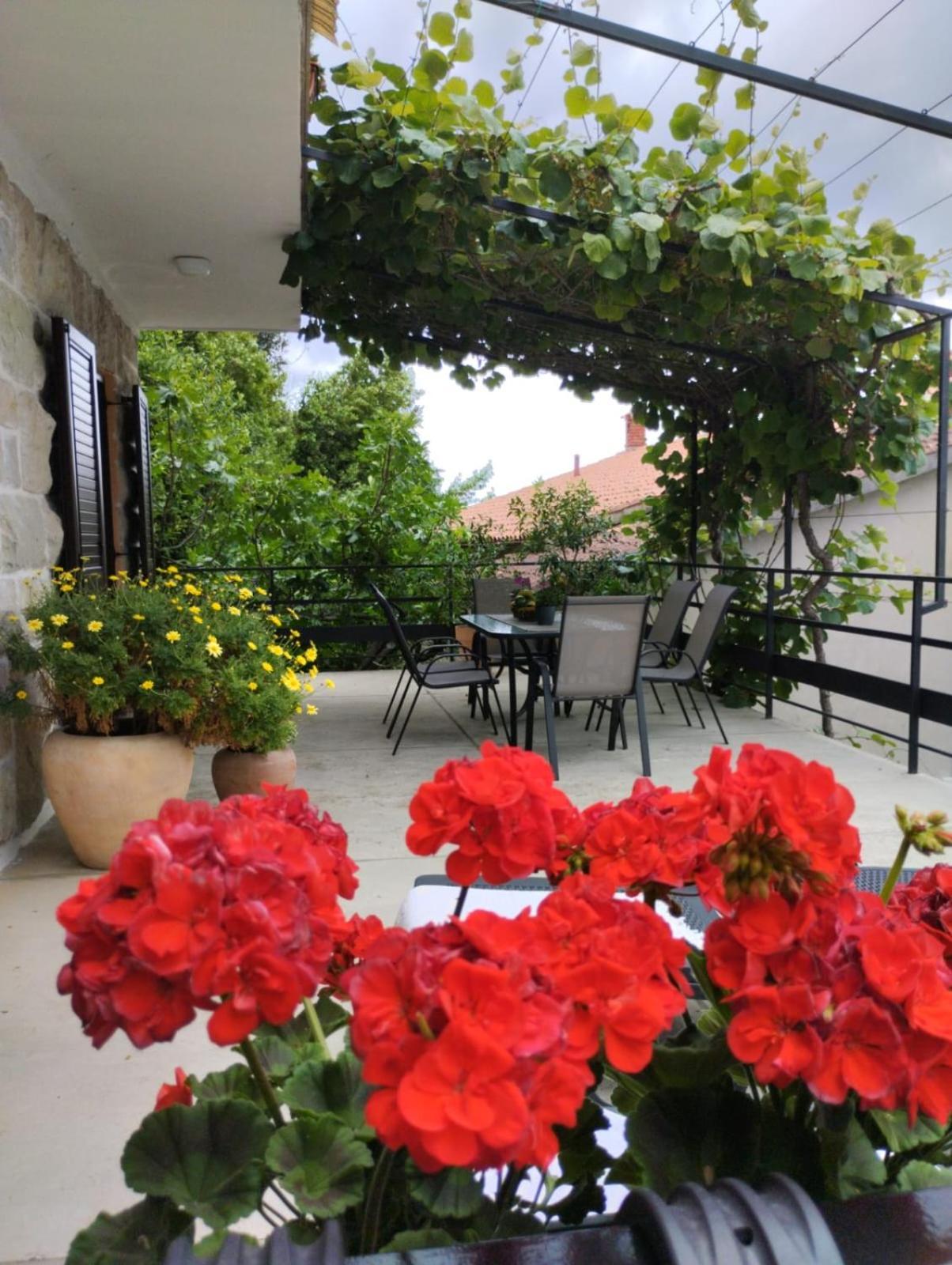 Nonna Laura Adriatic Dream Apartment With Sea View Rabac Bagian luar foto